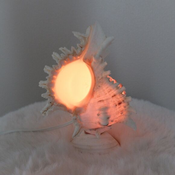 Seashell Lamp Night Light NWOT - Picture 2 of 10